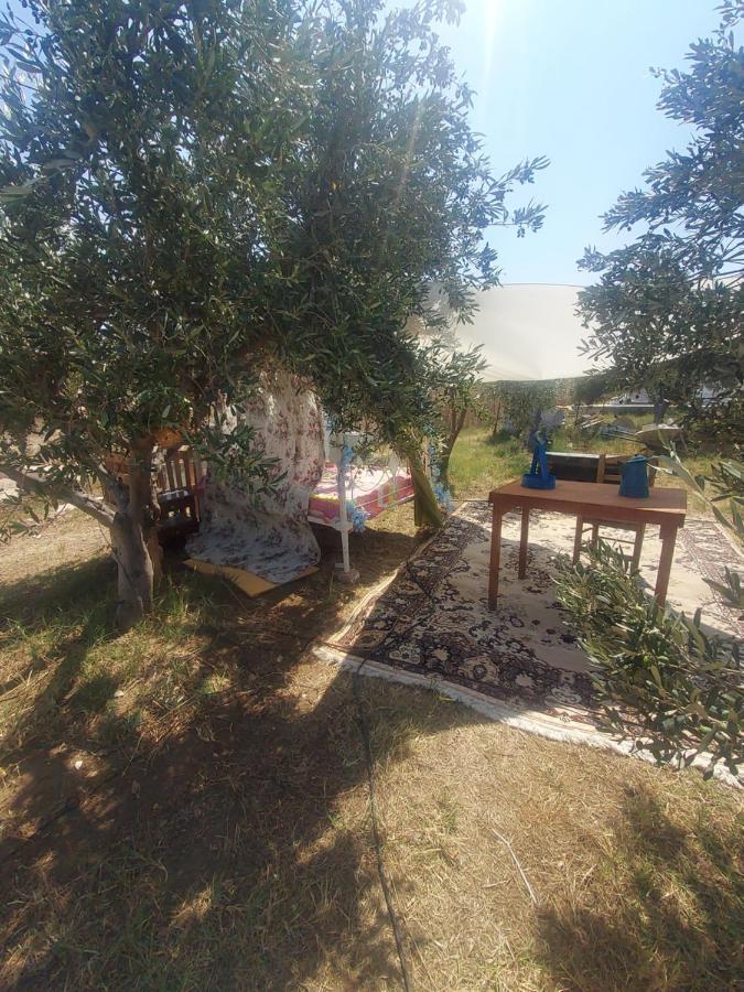 Suite Under The Stars Telendos Exterior foto
